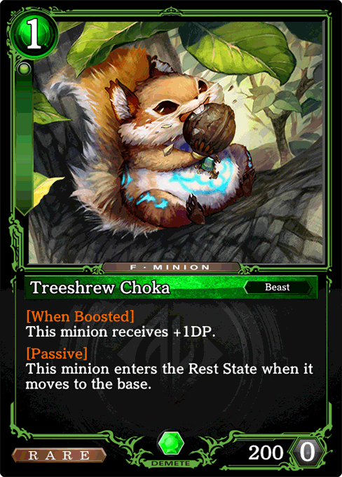 Treeshrew Choka