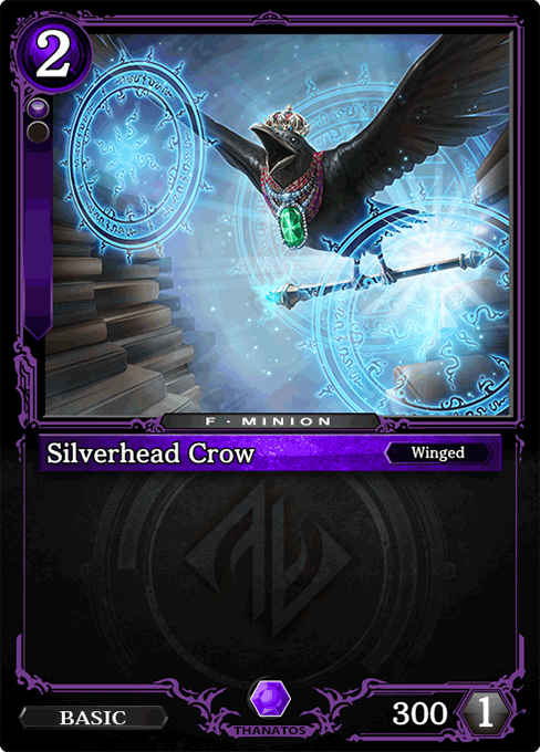 Silverhead Crow