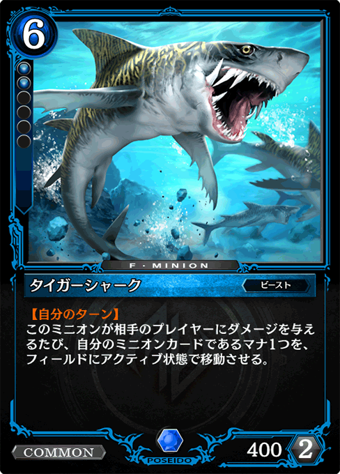 タイガーシャーク