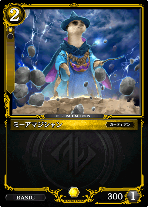 ミーアマジシャン