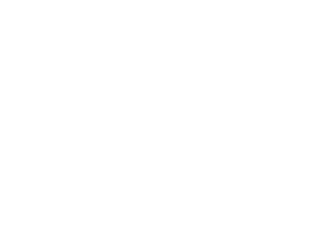 使用デッキ：森の国『デメテー』